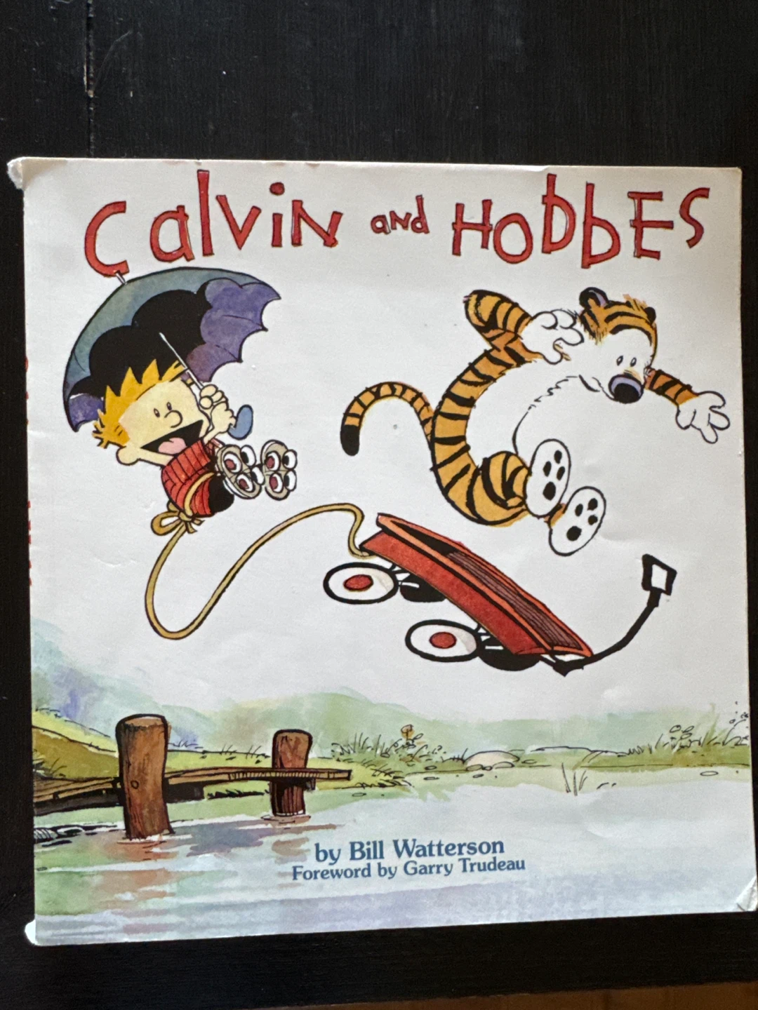 Calvin and Hobbes by Bill Watterson Book