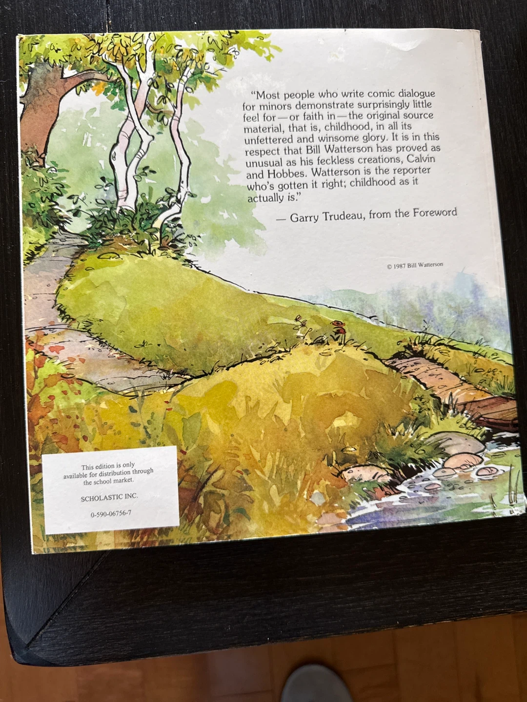 Calvin and Hobbes by Bill Watterson Book - photo 3