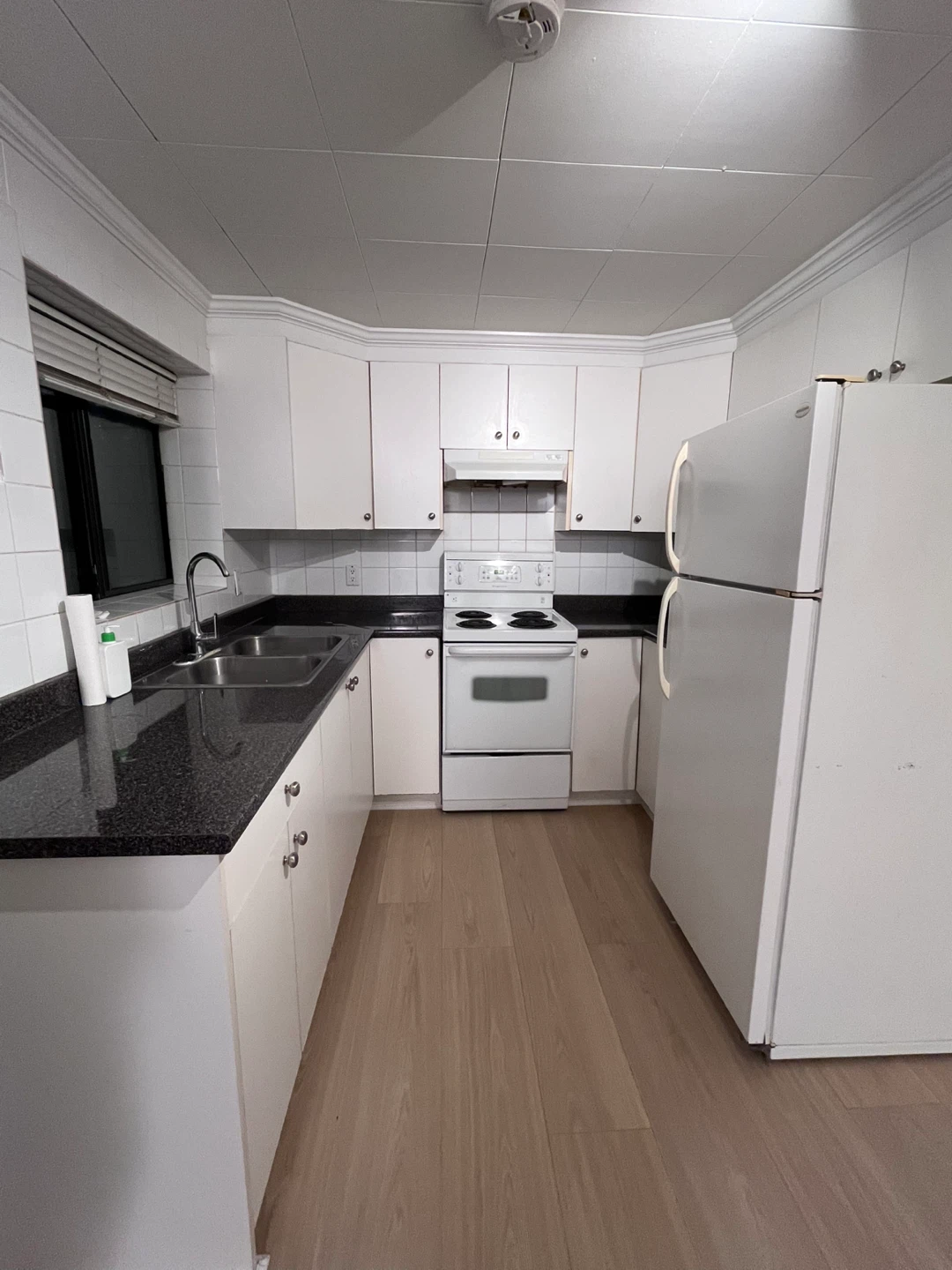 1 bedroom 1 bath basement for rent (ground level).