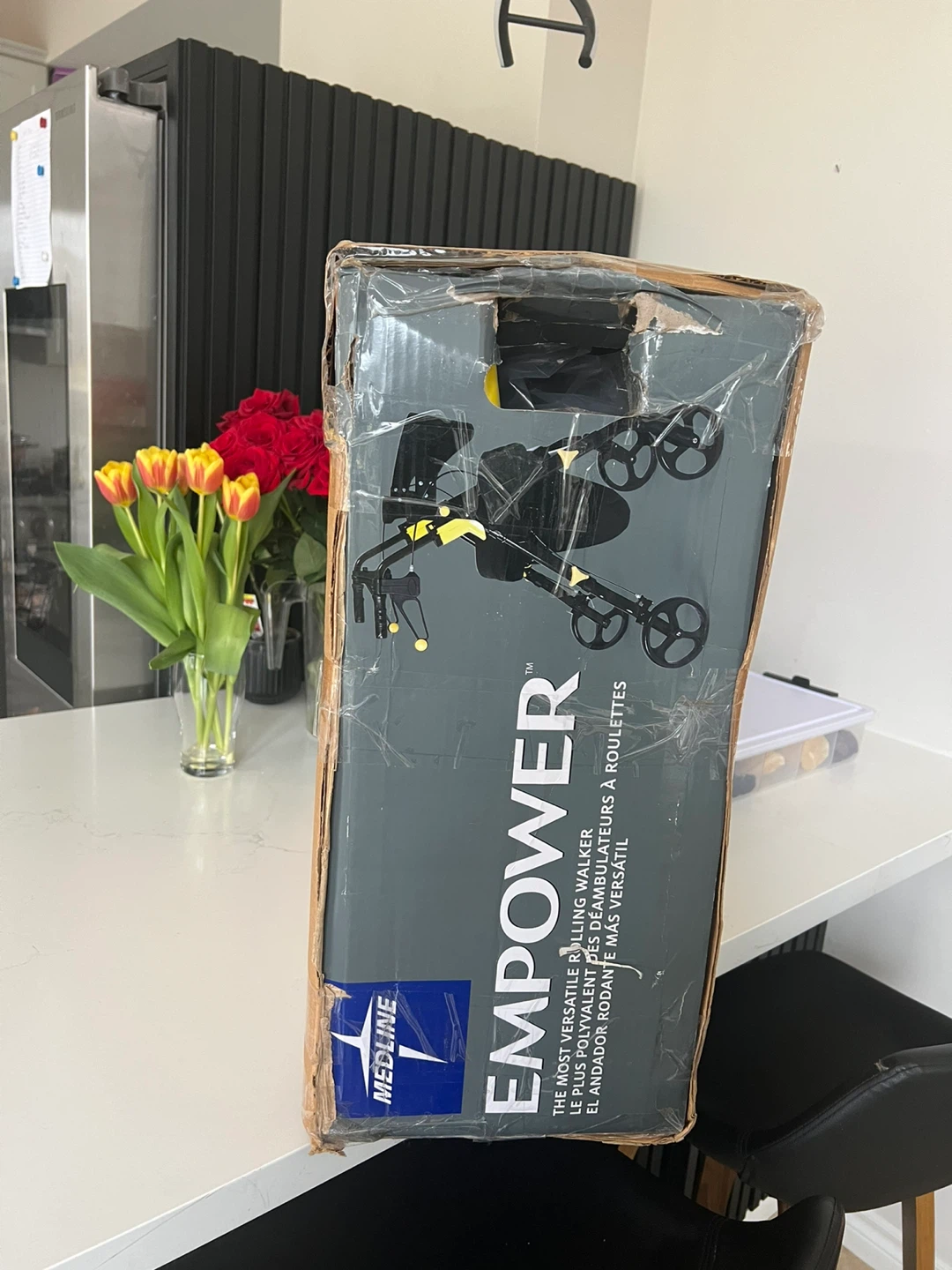 Medline Empower Rolling Walker
