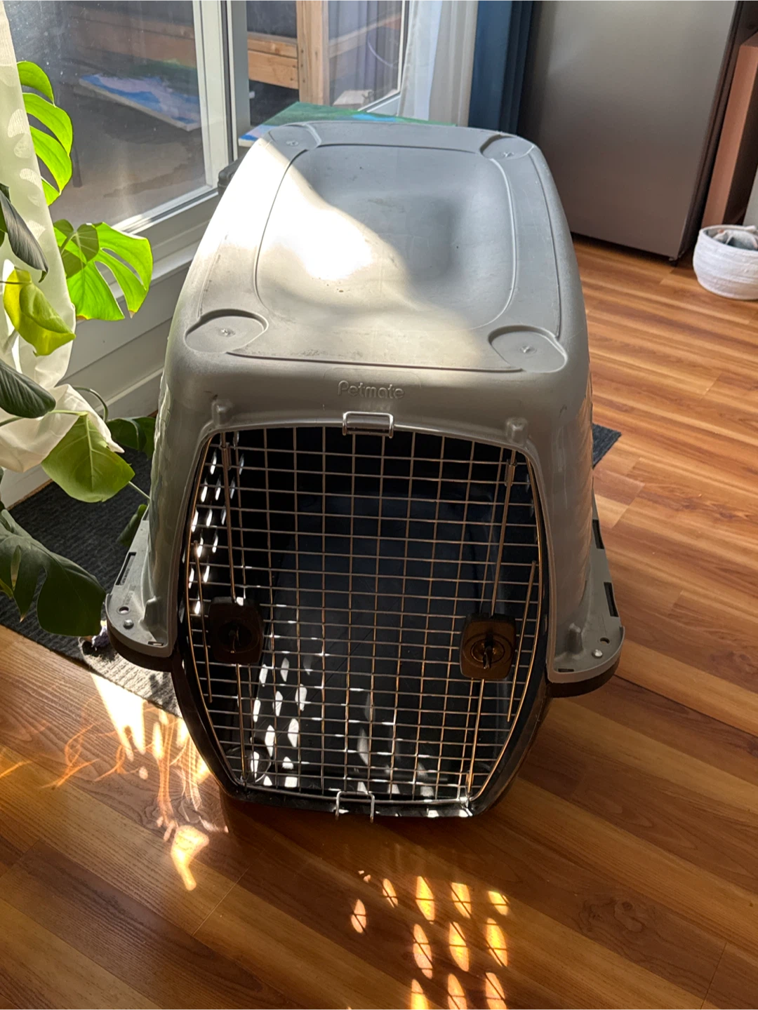 Petmate Dog Kennel