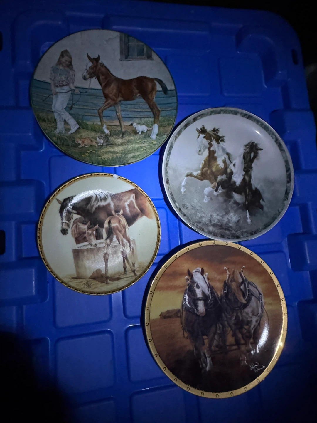 Decorative Collector Plates - Horses