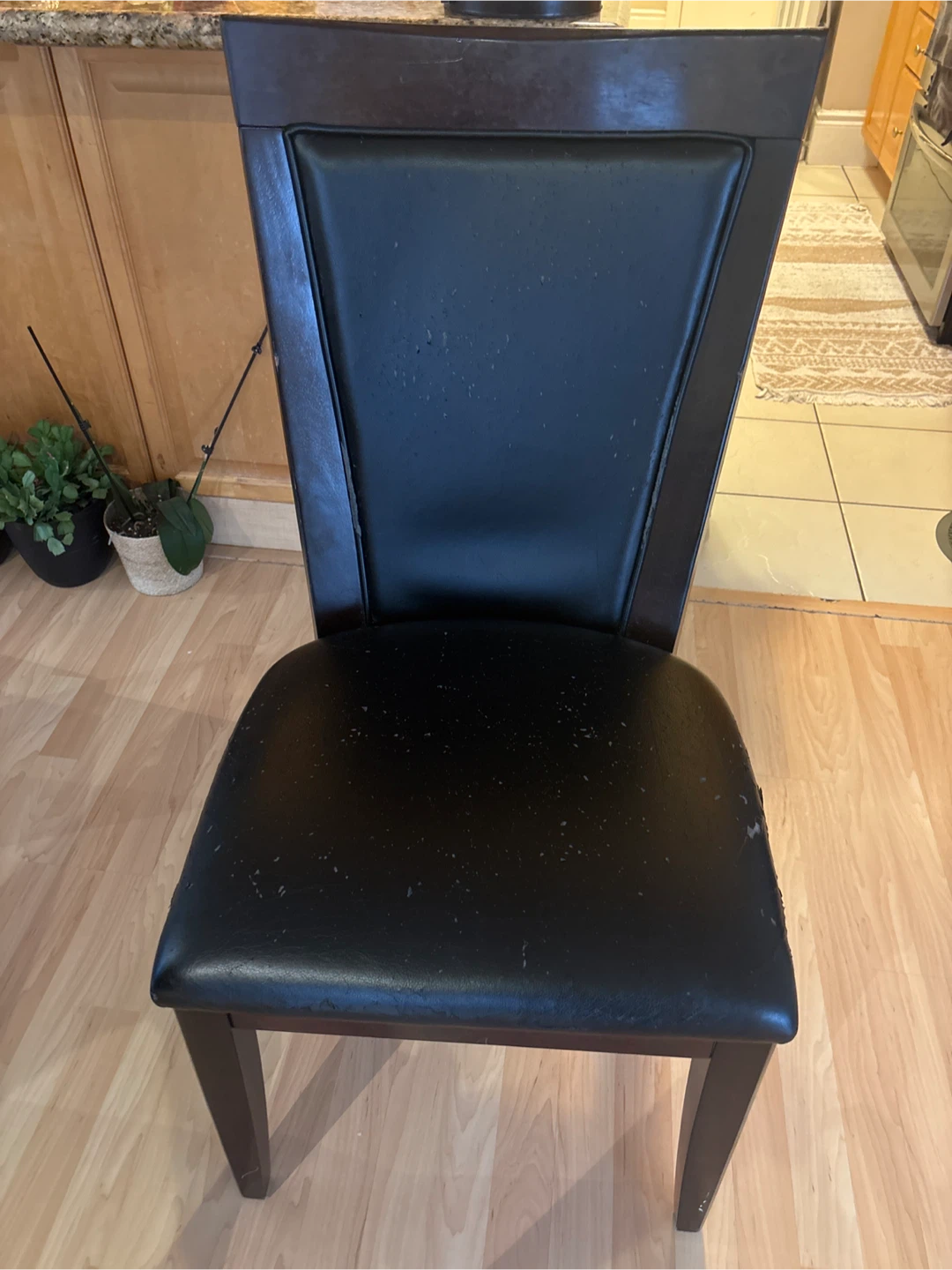 Casana Dining Chairs (8)