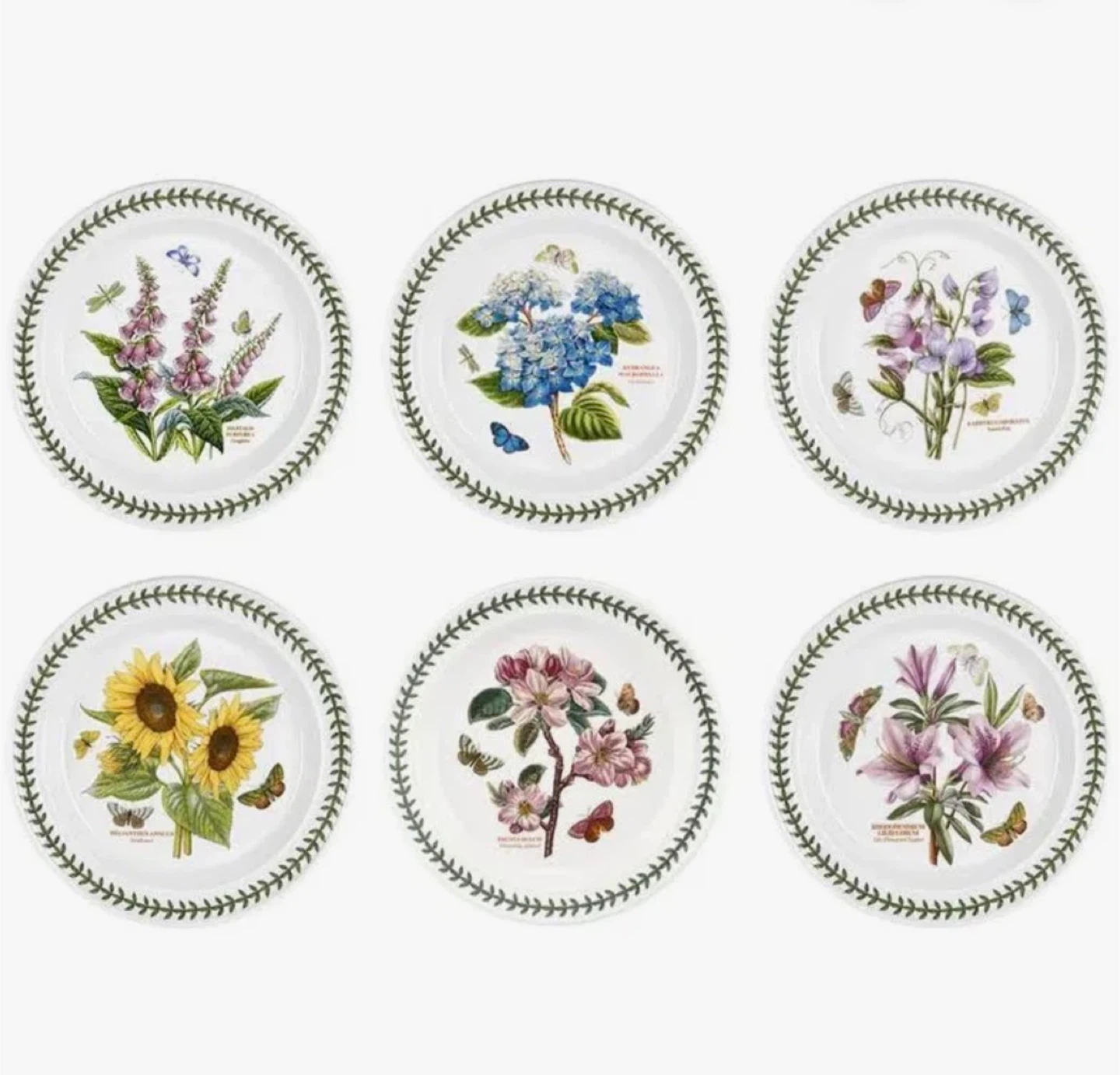 Portmeirion Dinner Plates - Set of 6