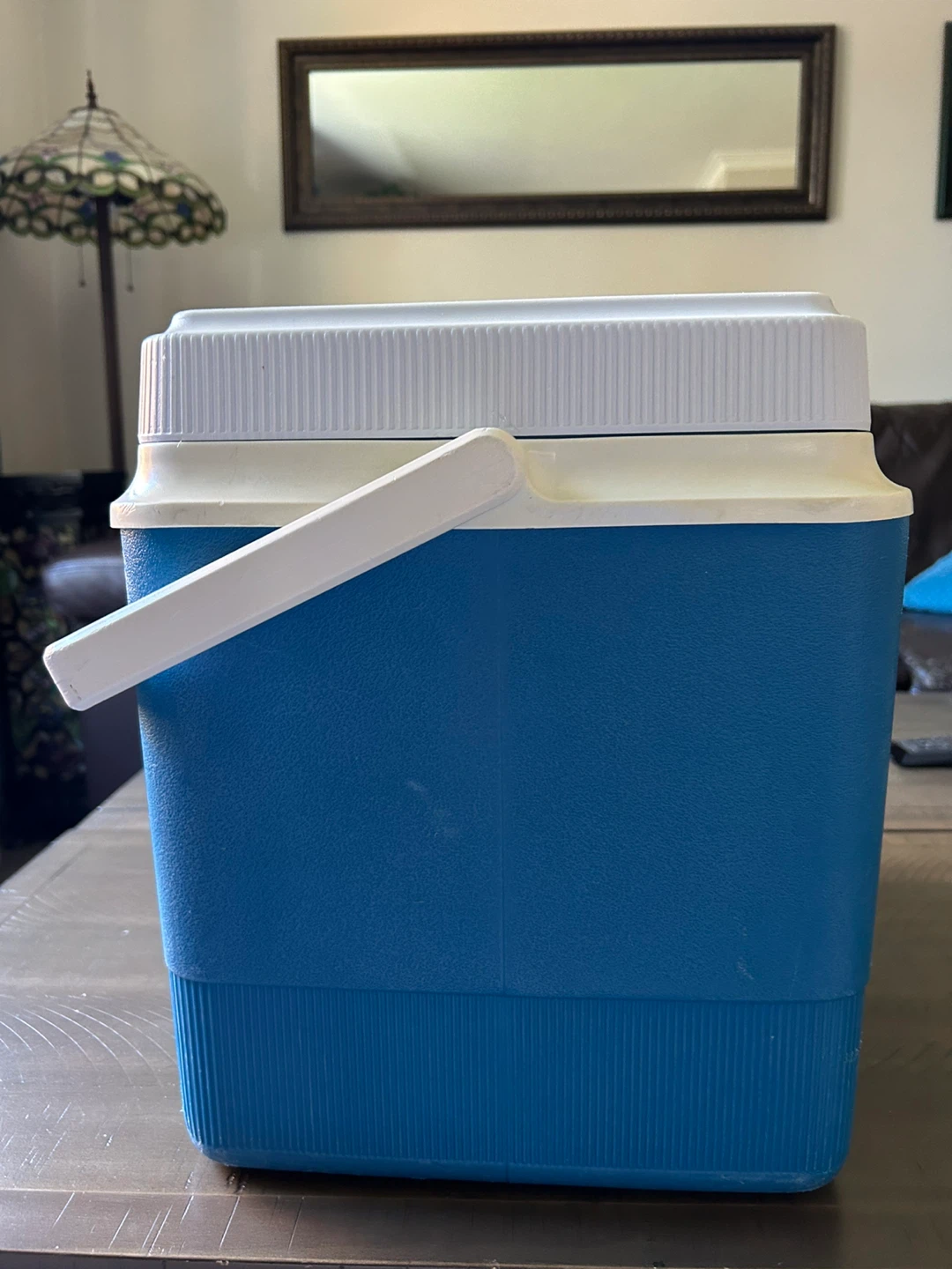 Vintage “River Trail” Rubbermaid Cooler - photo 4