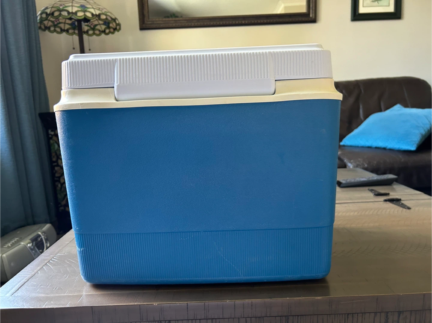 Vintage “River Trail” Rubbermaid Cooler - photo 3