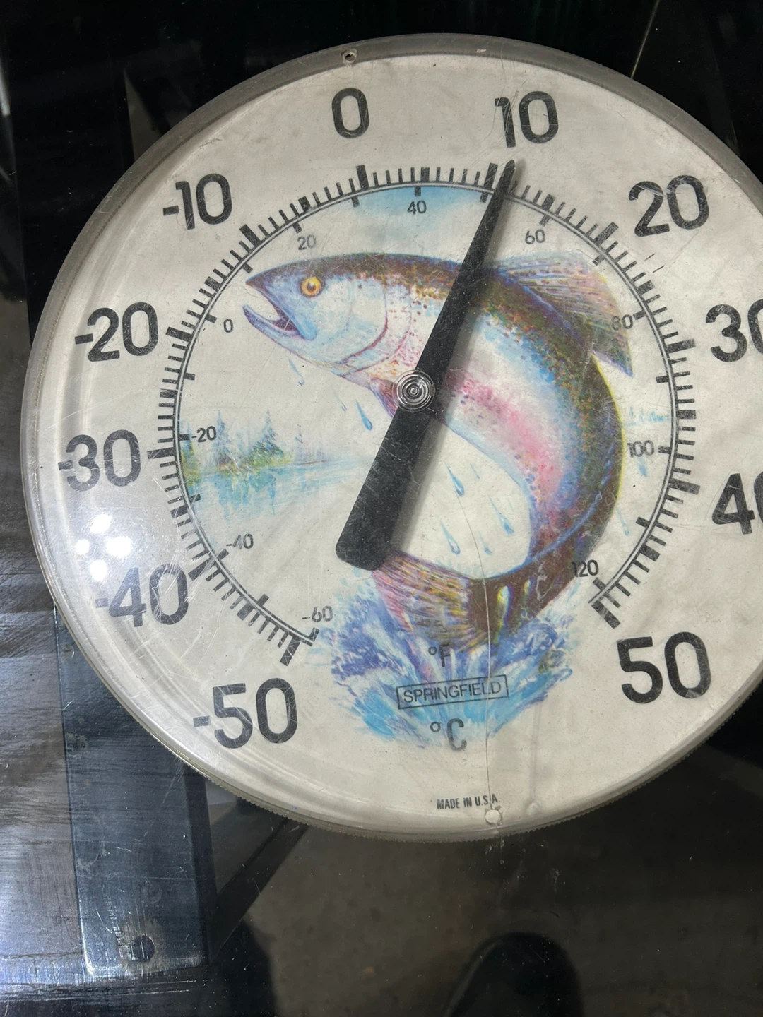 Springfield Thermometer with Fish Graphic - photo 2