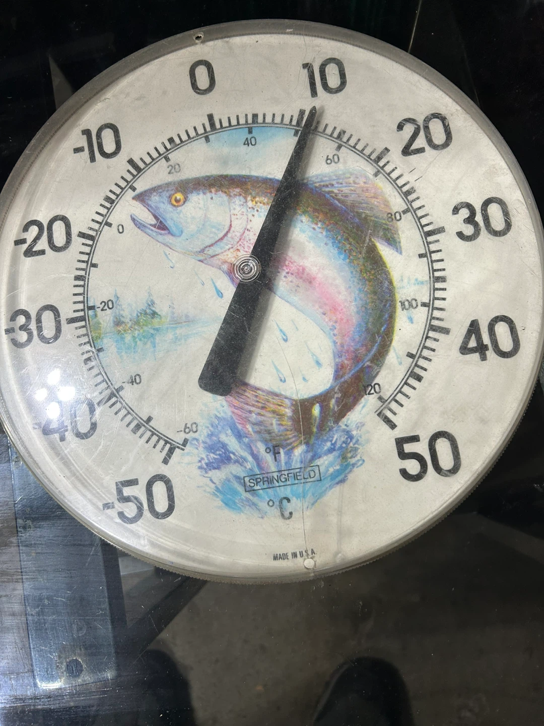 Springfield Thermometer with Fish Graphic