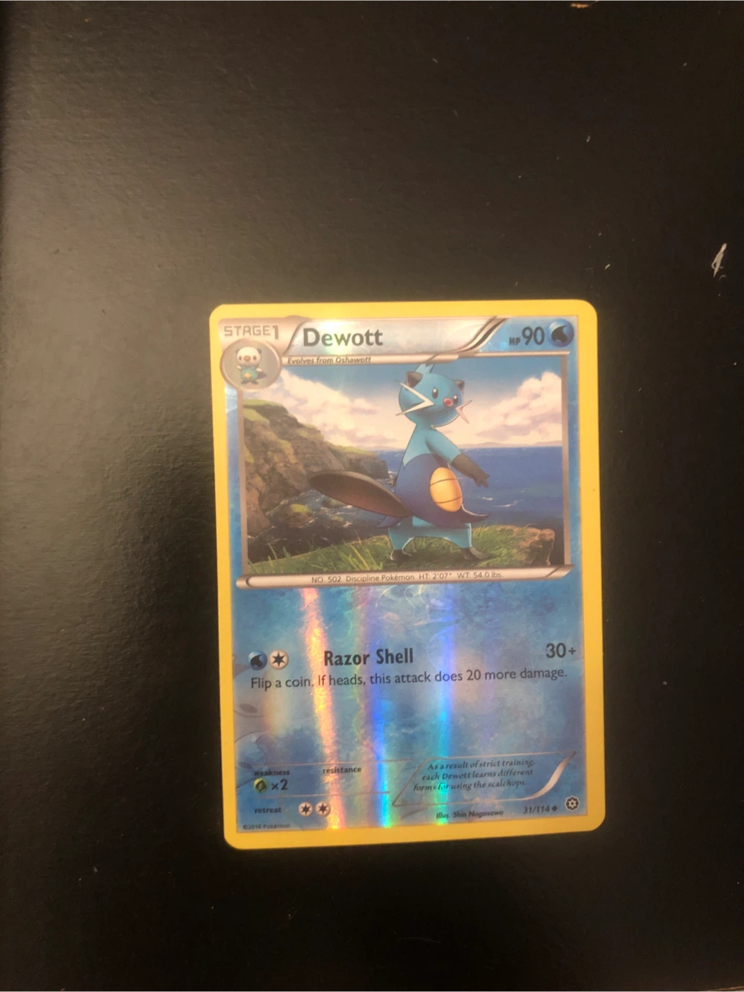 Pokemon Dewott Stage 1 Holo Trading Card