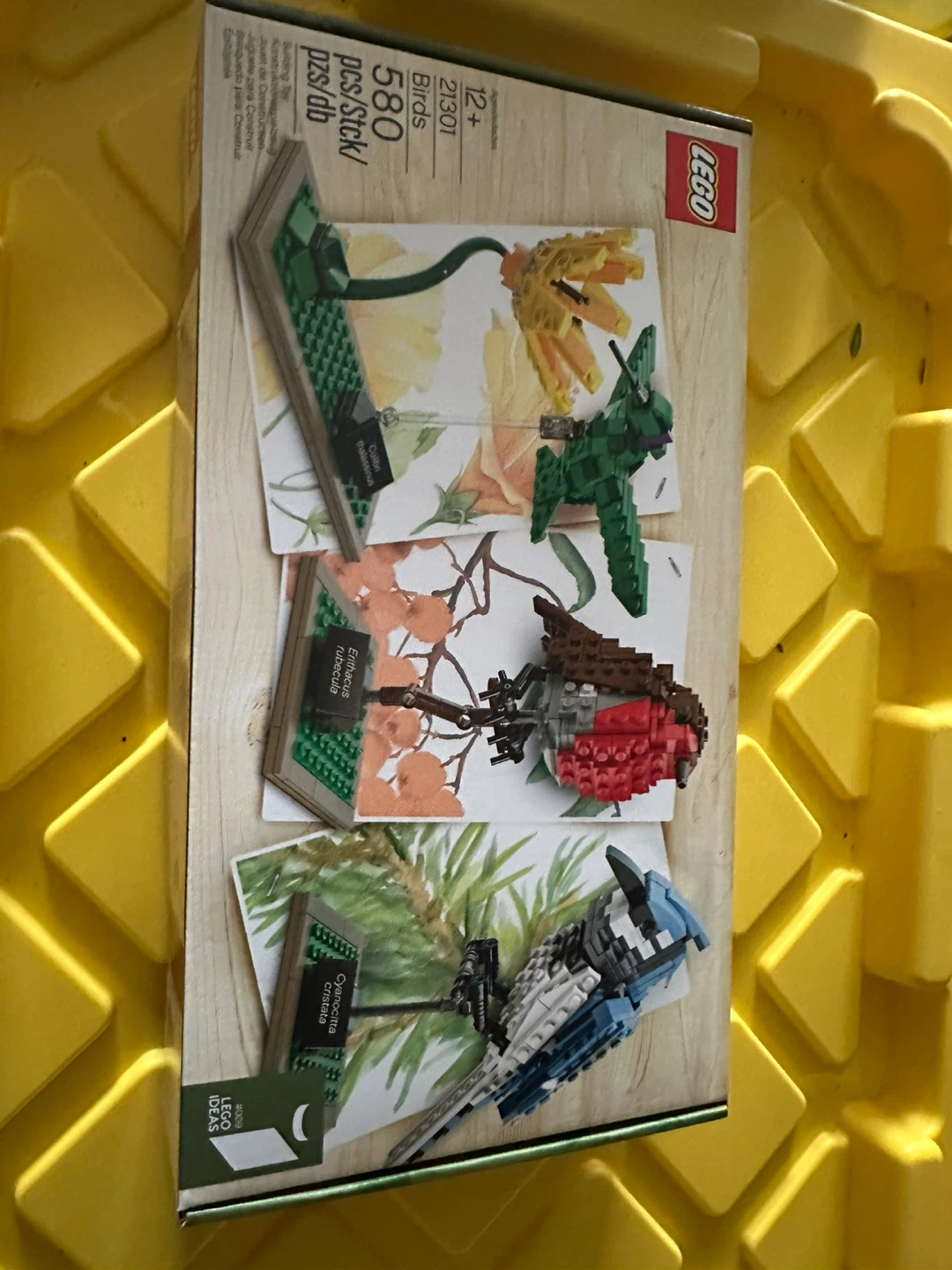 LEGO Ideas Birds Set 21301