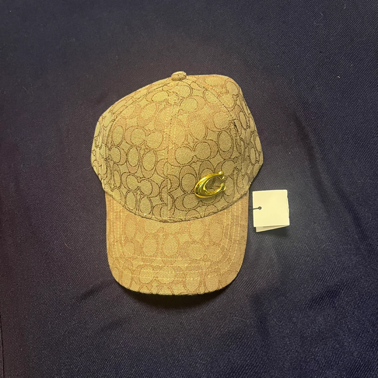 Brown  Baseball Cap