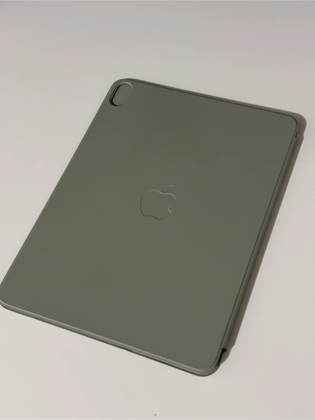 Apple Smart Folio (11” iPad Air)