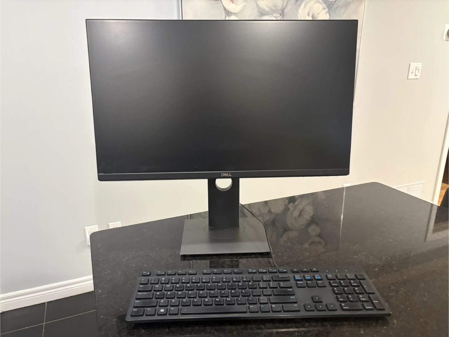 Dell P2419H Flat Panel Monitor