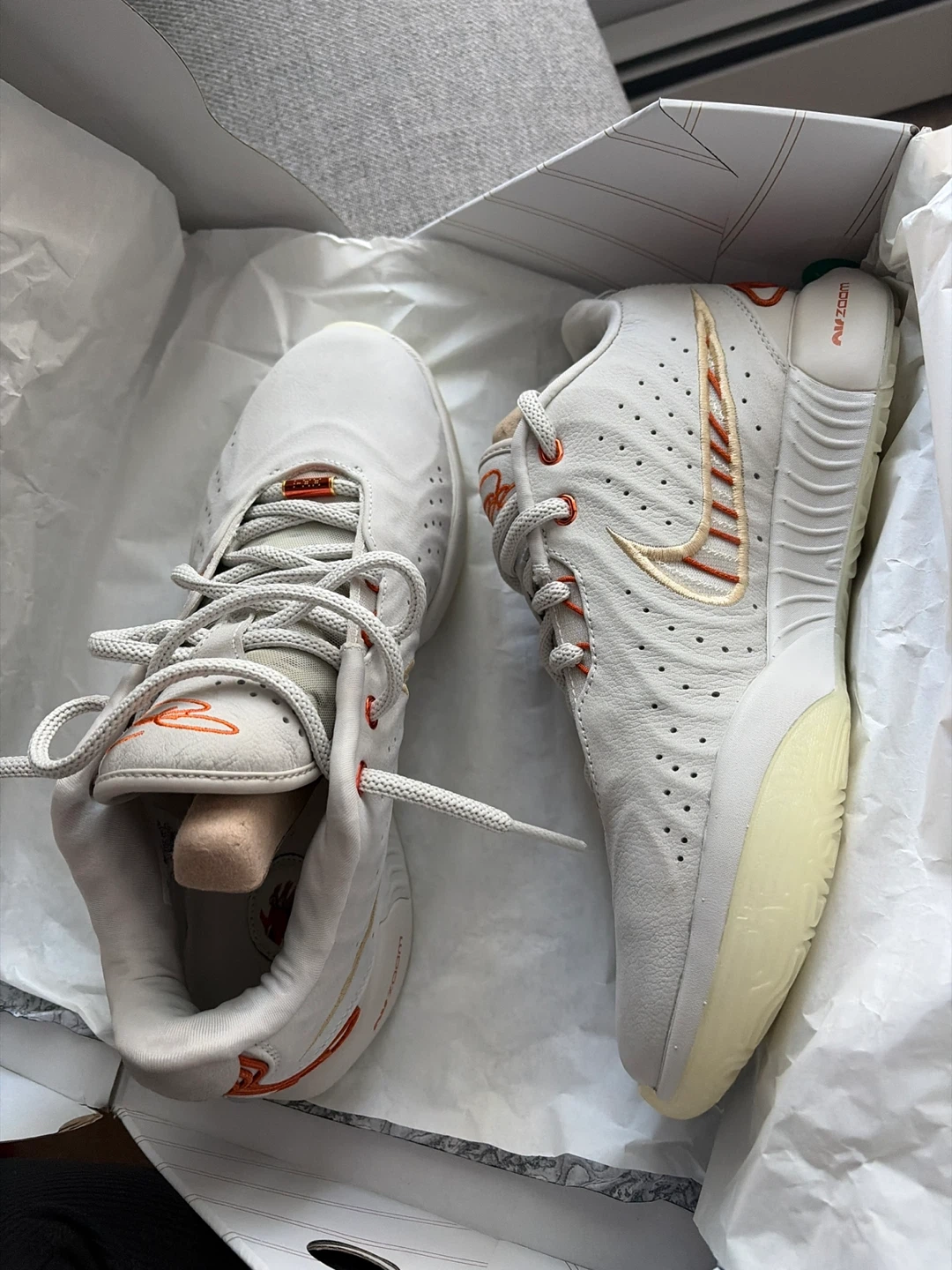 Nike LeBron XXI Shoes