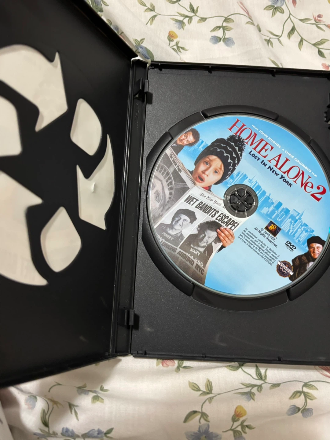 Home Alone 2: Lost in New York and Raise your voice DVD - photo 4