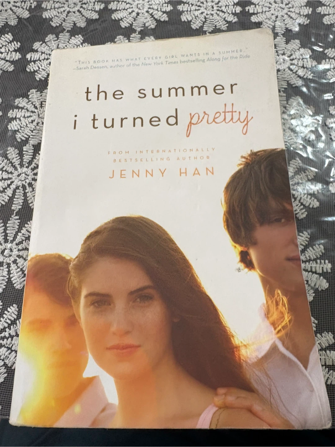 The summer I turned pretty book