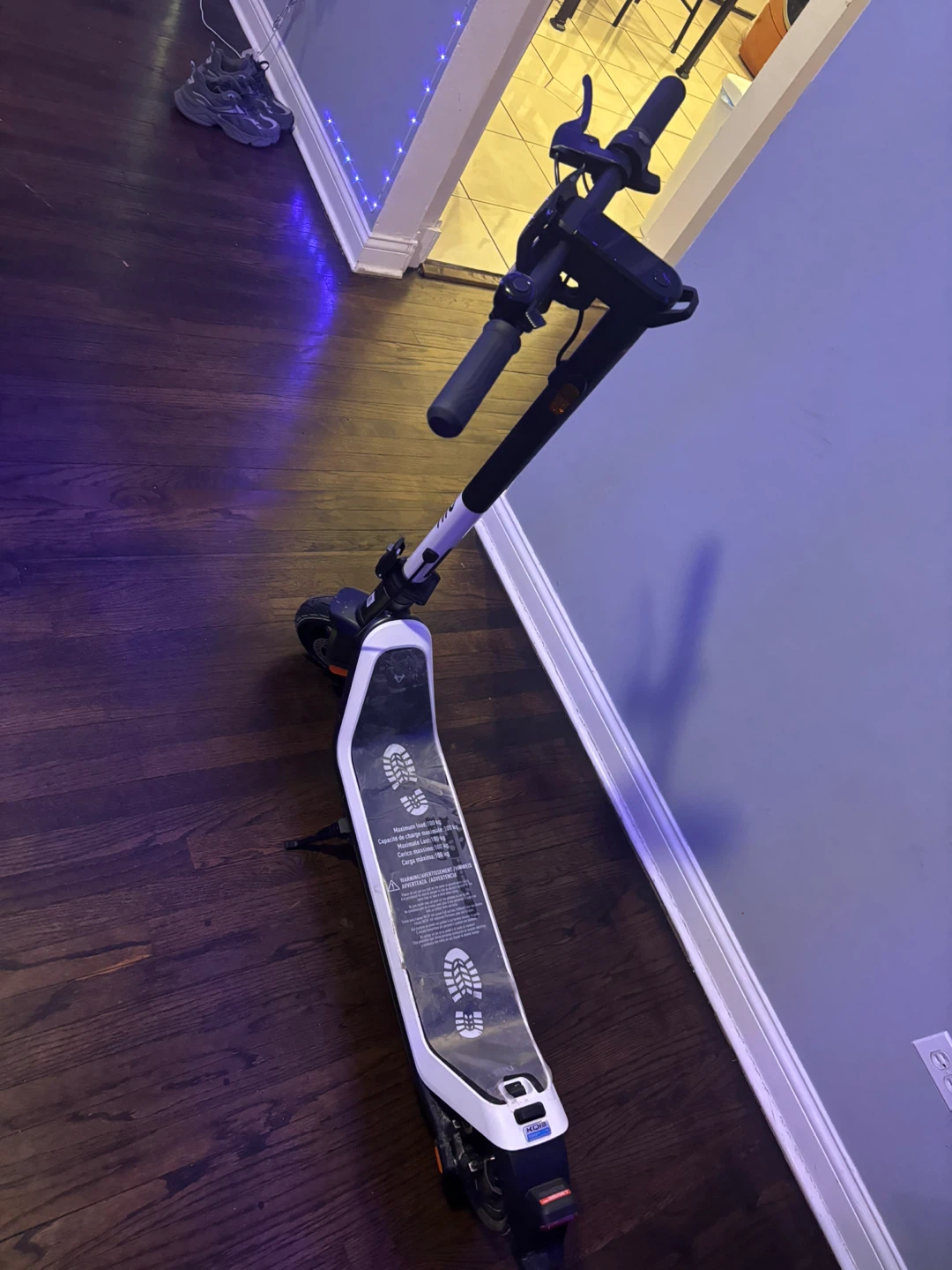NIU Electric Scooter
