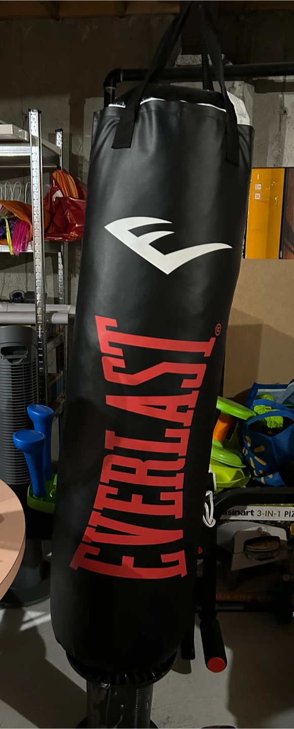 Everlast Punching Bag