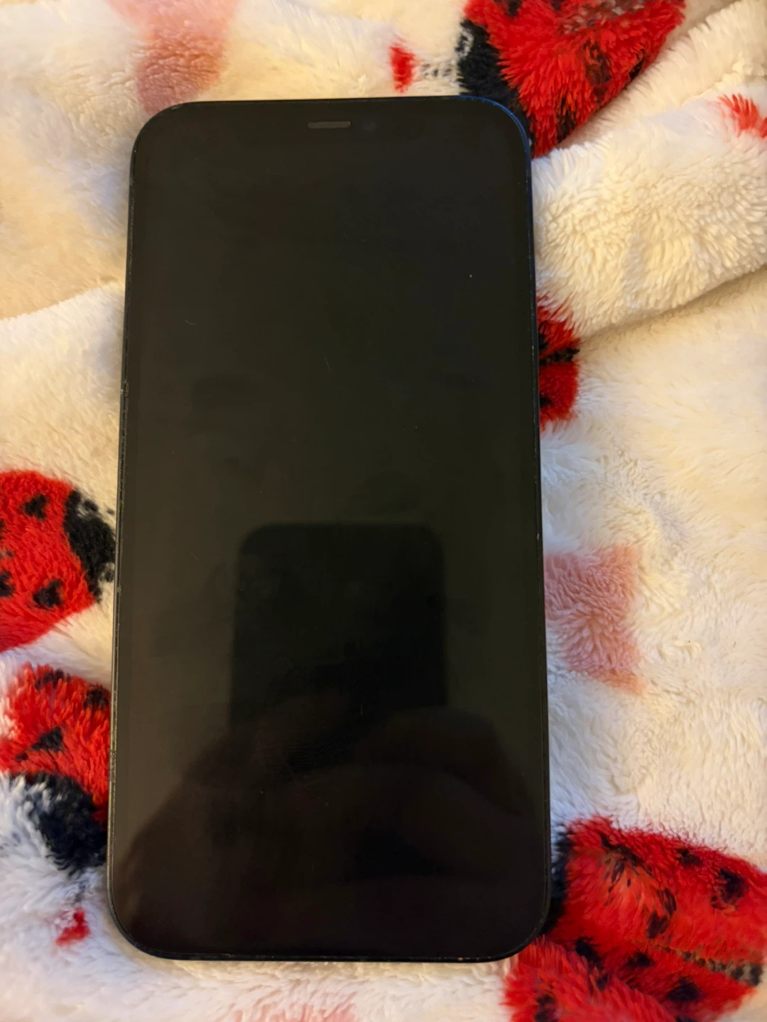 Apple iPhone 12 - Black - 64GB - photo 2