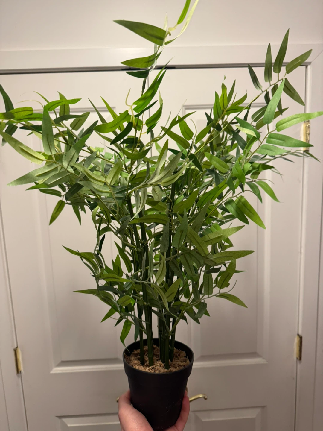 Artificial Bamboo Plant in Black Pot - photo 3