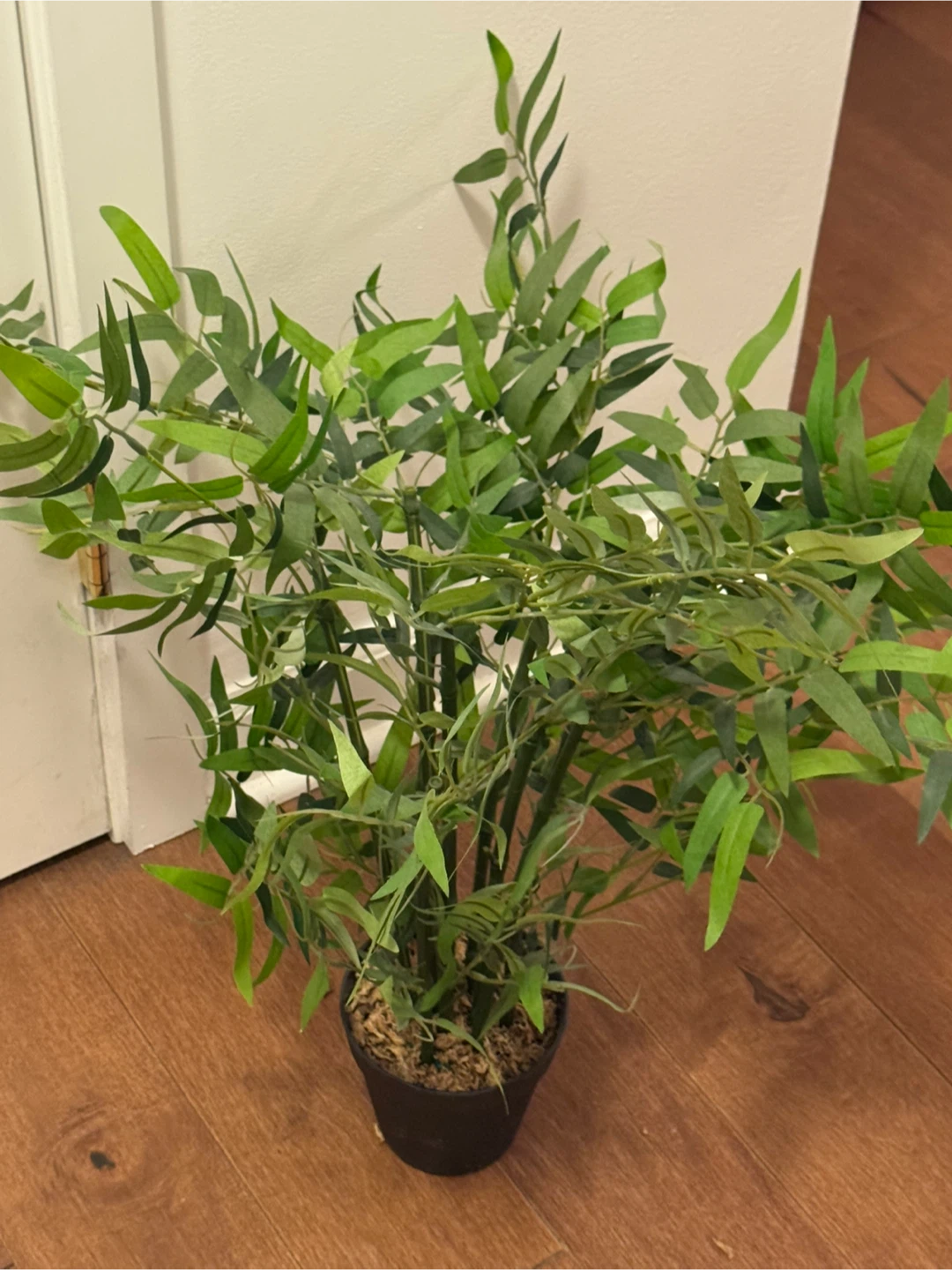 Artificial Bamboo Plant in Black Pot