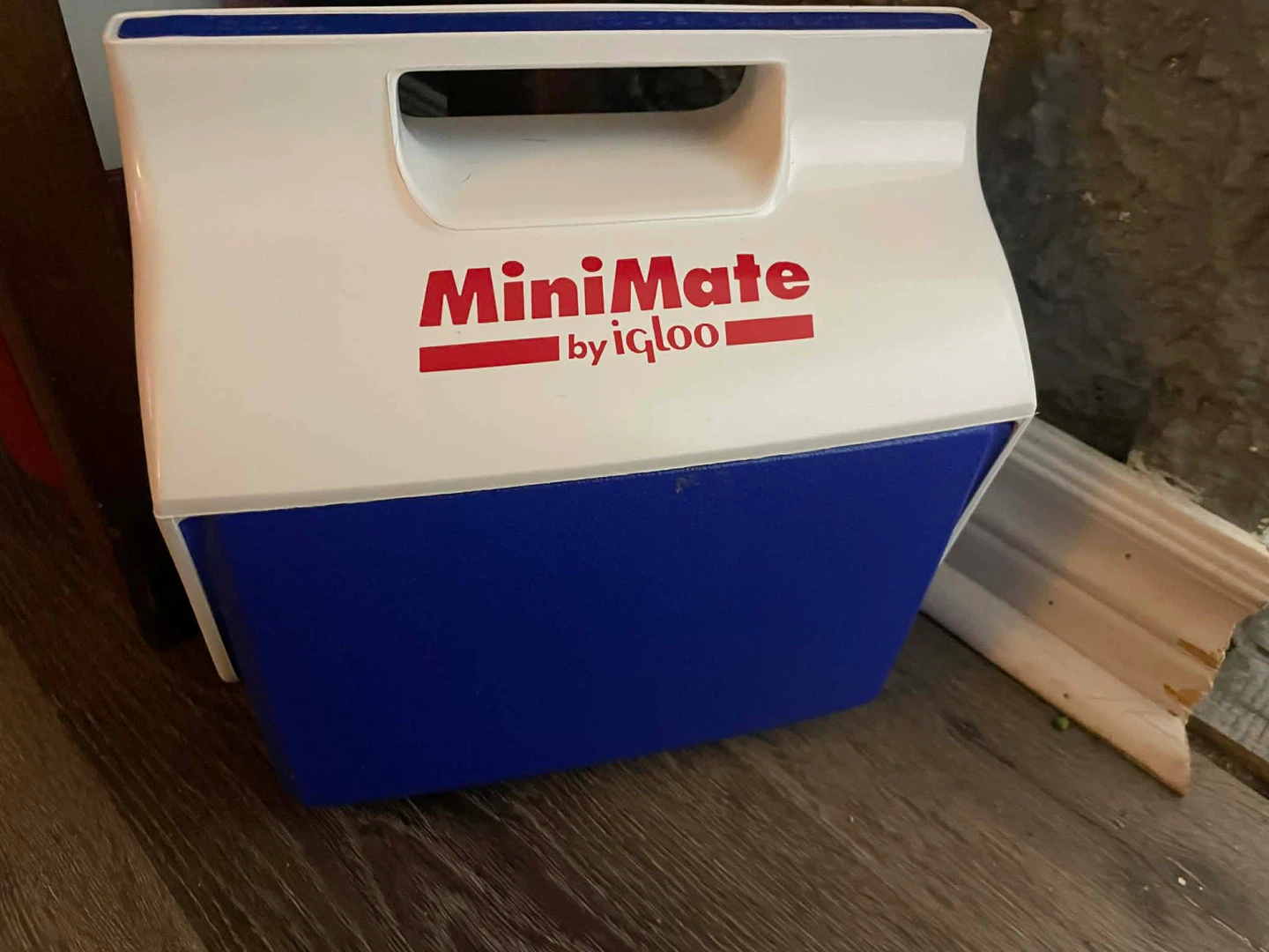 Vintage Igloo MiniMate Personal Cooler