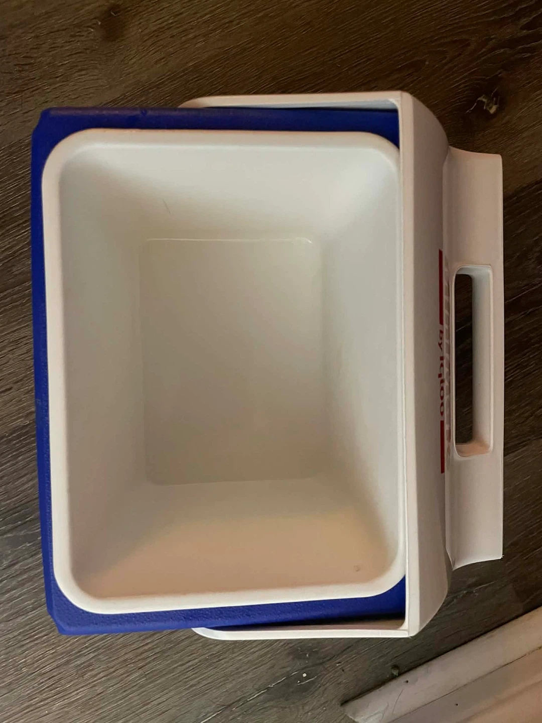 Vintage Igloo MiniMate Personal Cooler - photo 2