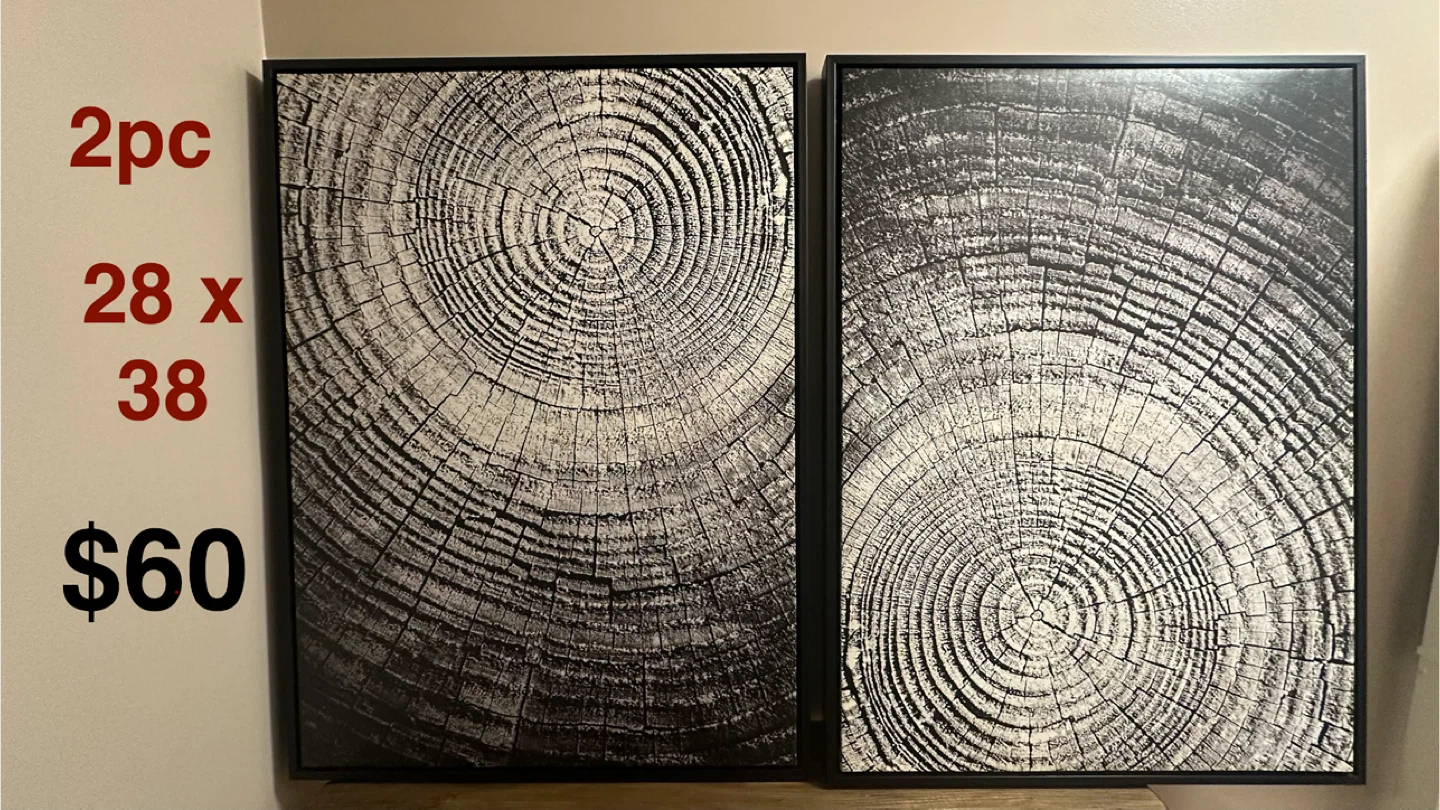 2pc Tree Ring Canvas Art Prints 28 x 38