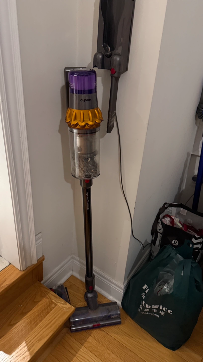Dyson V15