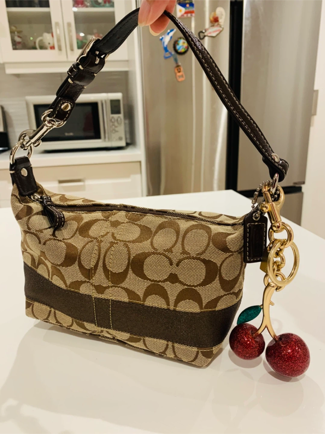 🐻 New Coach Brown Signature Mini Demi Pouchette Shoulder Bag 🐻