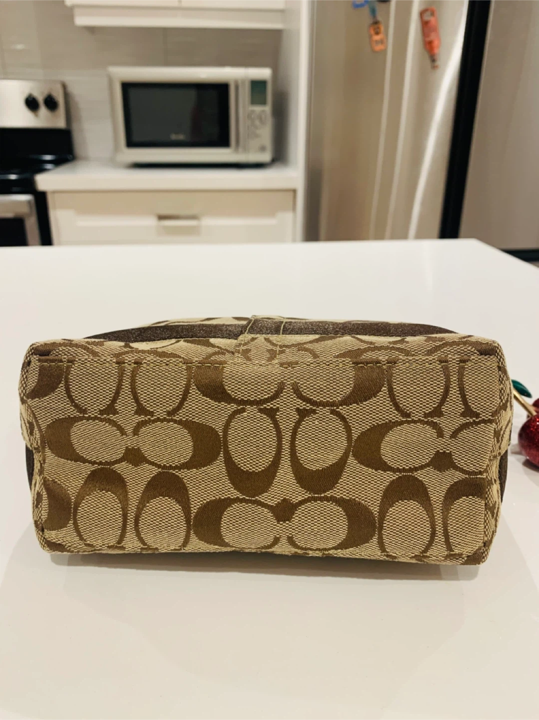 🐻 New Coach Brown Signature Mini Demi Pouchette Shoulder Bag 🐻 - photo 5