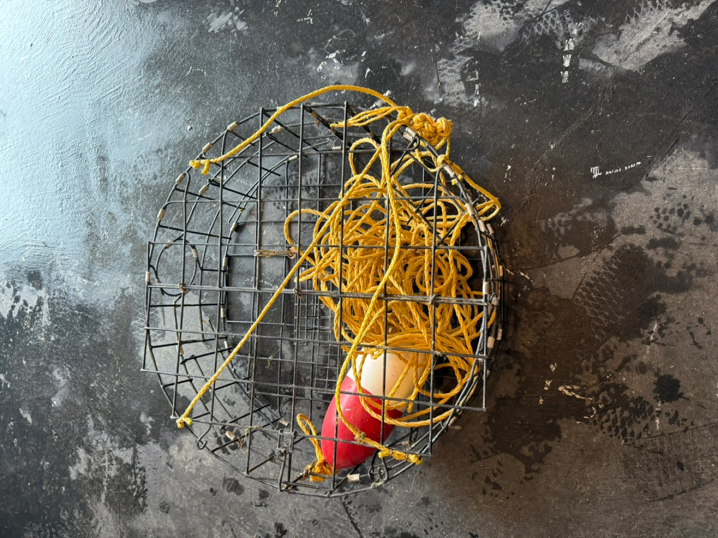 Crab Trap Fishing Cage with Rope and Buoy - photo 2