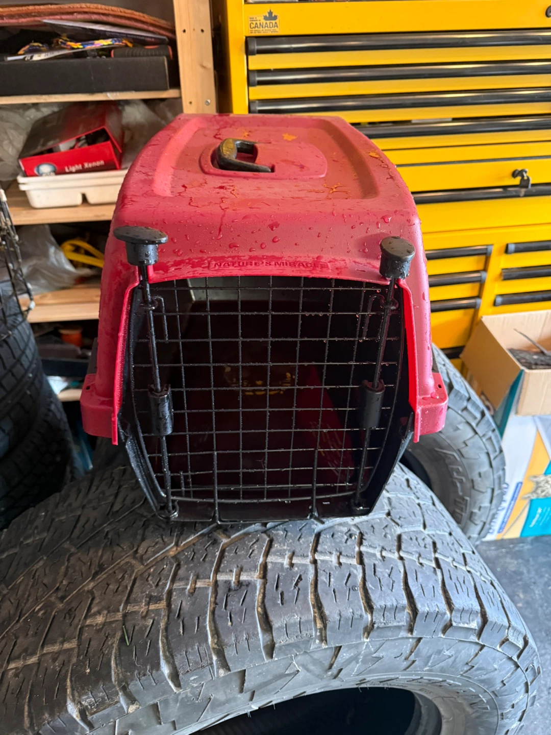 Pet Carrier