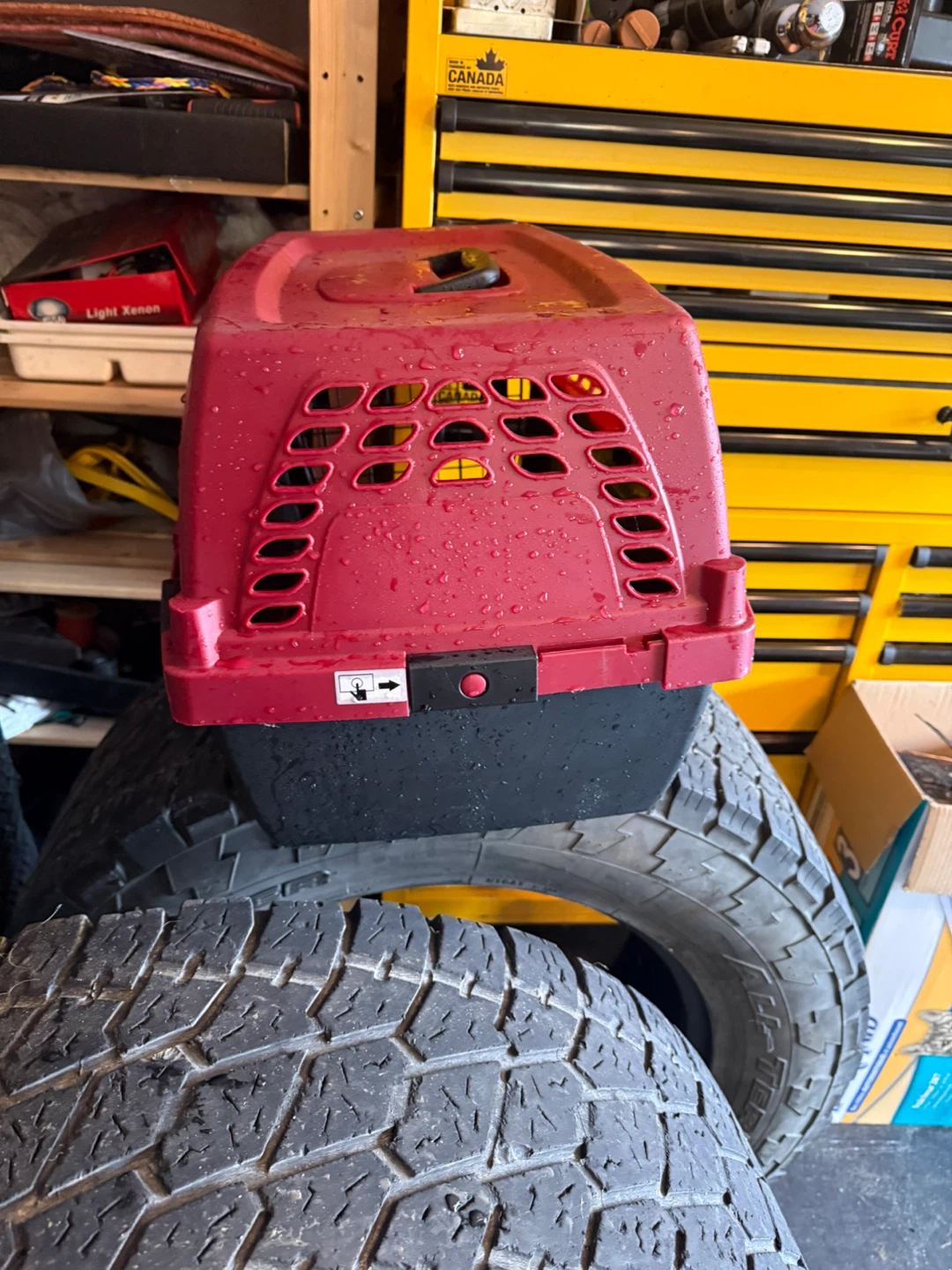Pet Carrier - photo 3