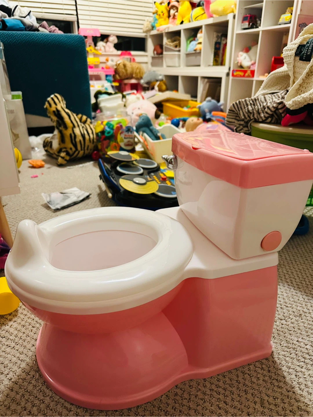 Training Potty Toilet