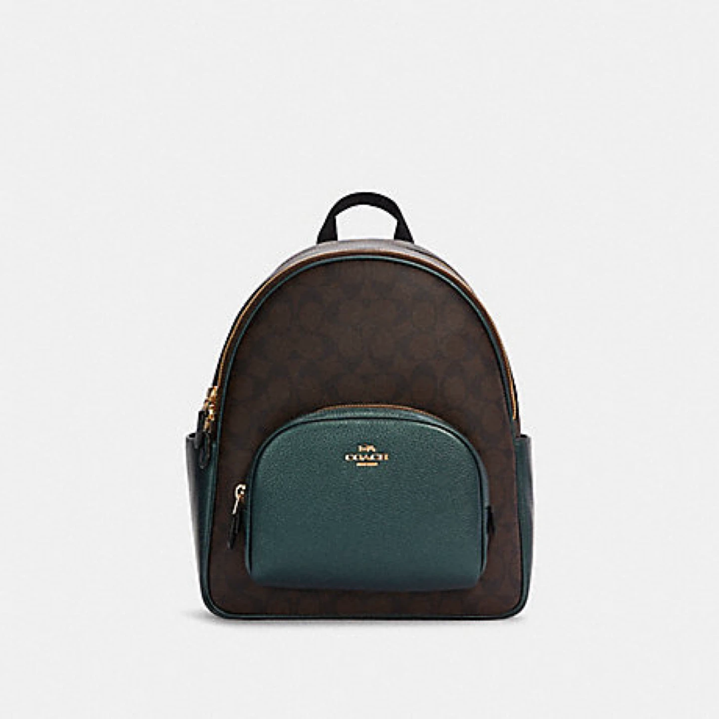 Coach Signature Backpack - Brown/Green