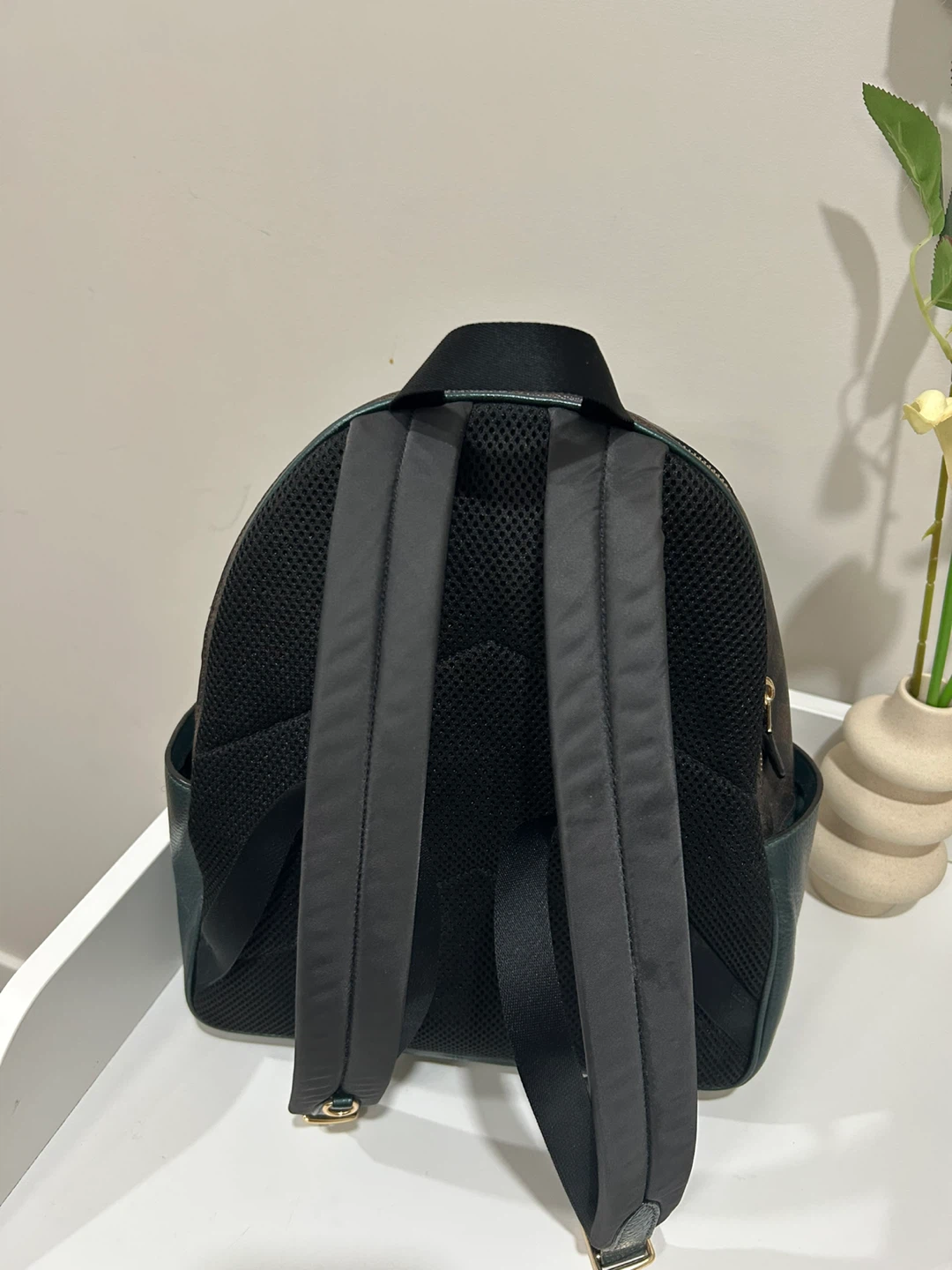 Coach Signature Backpack - Brown/Green - photo 4