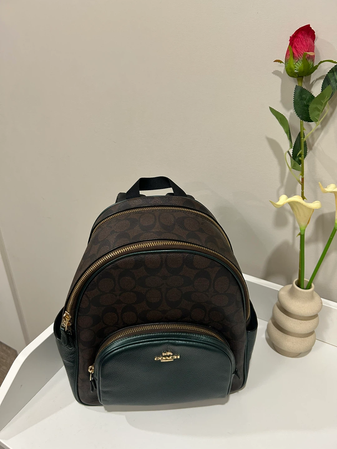 Coach Signature Backpack - Brown/Green - photo 3