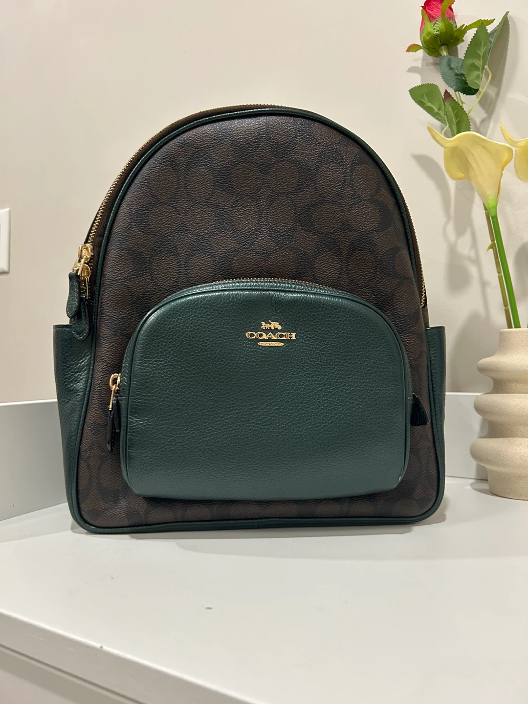 Coach Signature Backpack - Brown/Green - photo 2