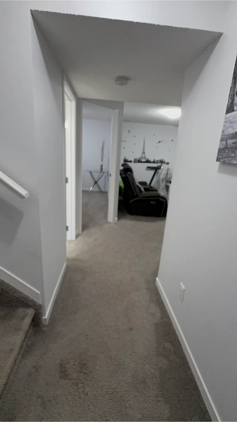 1 Room basement suite for rent - photo 2