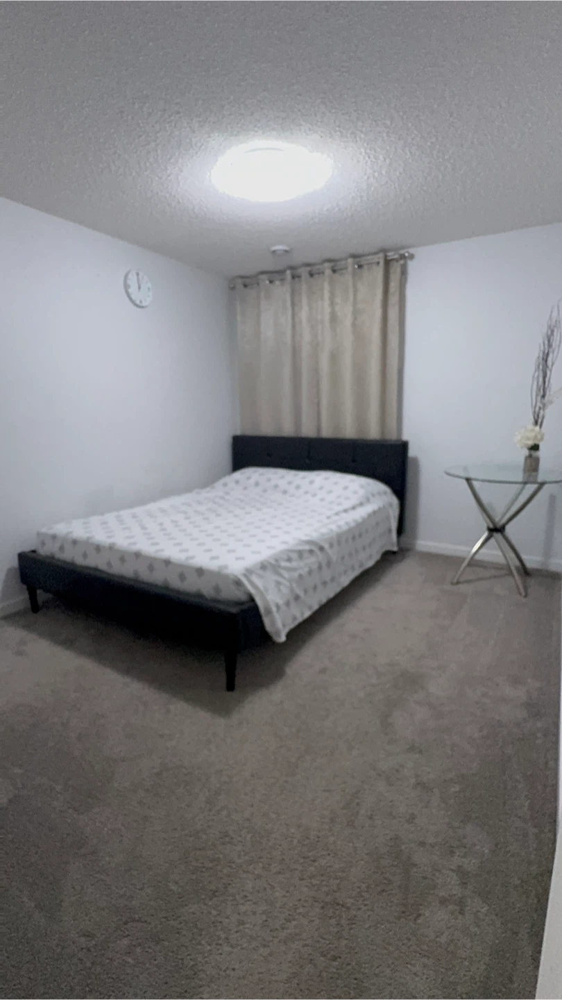 1 Room basement suite for rent