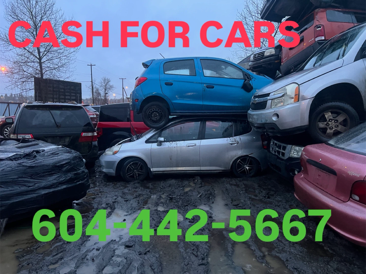 CASH FOR CARS - photo 2
