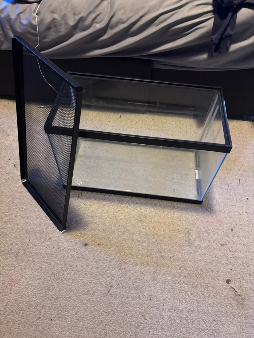 Terrarium - photo 4