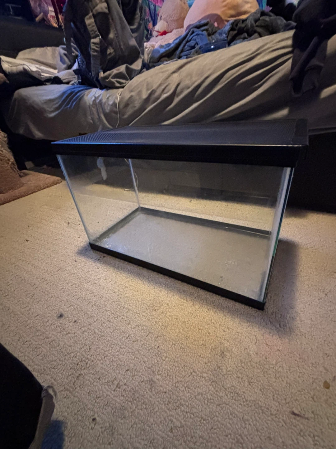 Terrarium