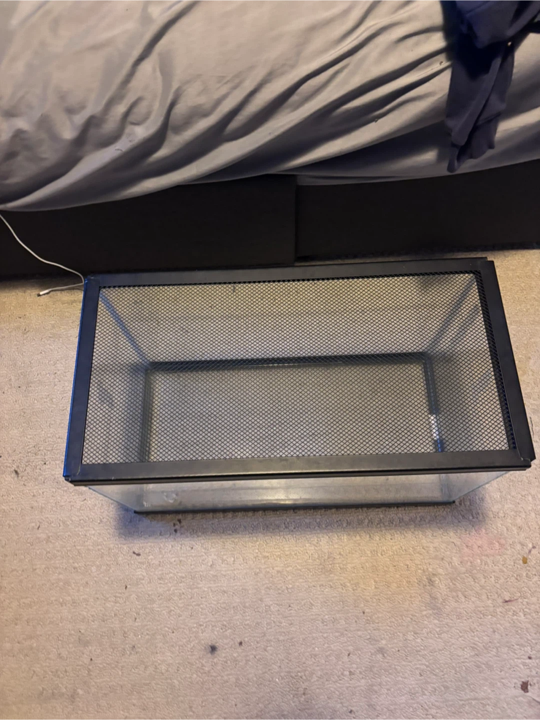 Terrarium - photo 2