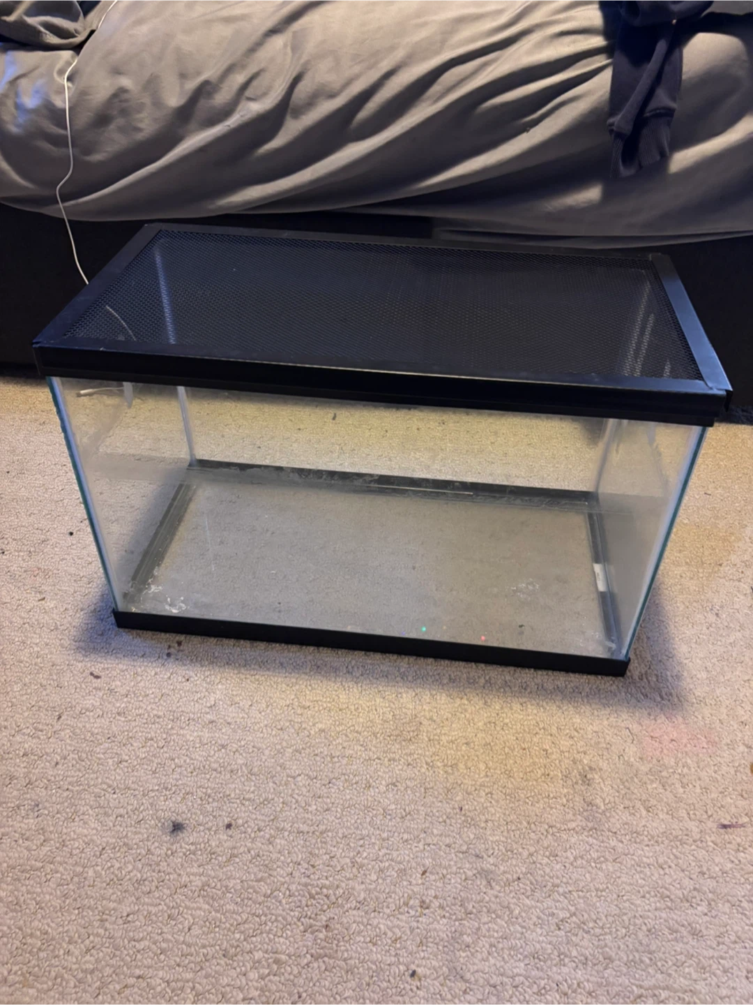 Terrarium - photo 3