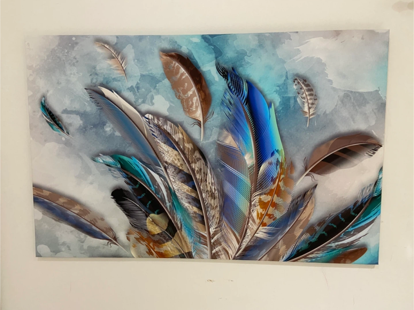 Feather Canvas Wall Art