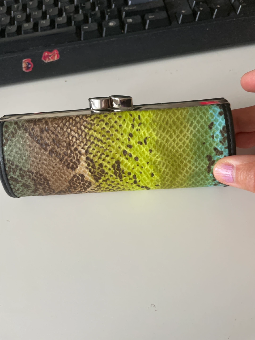 Eyeglasses Case with Snake Print