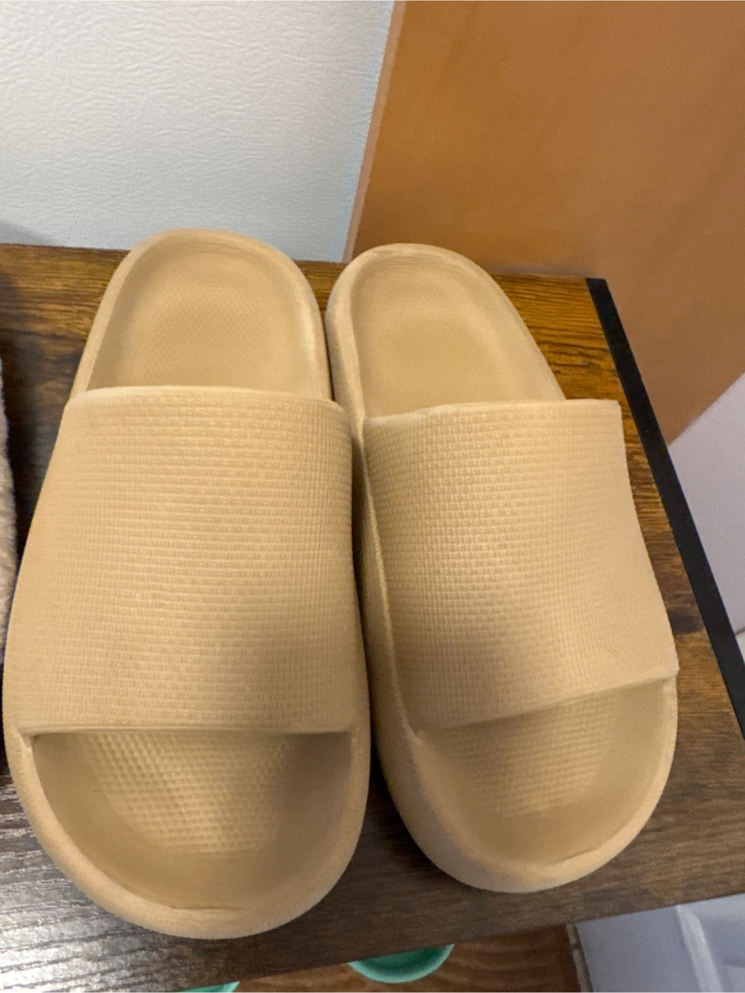 Women's Plush Slippers