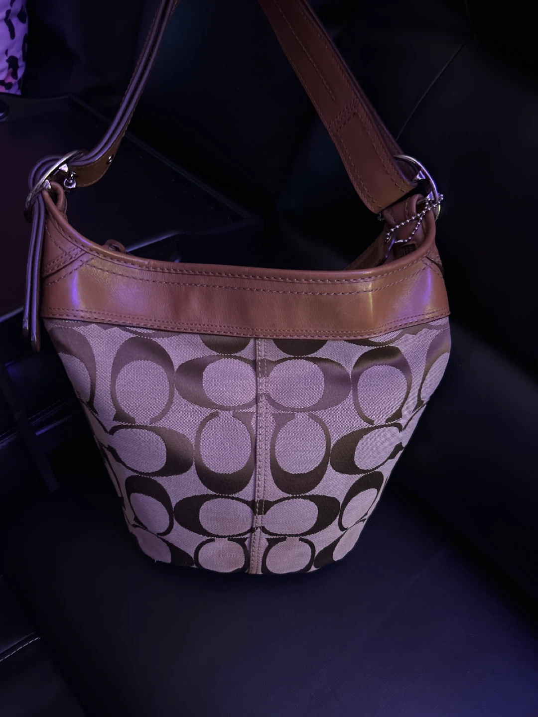 Coach Signature Monogram Hobo Bag